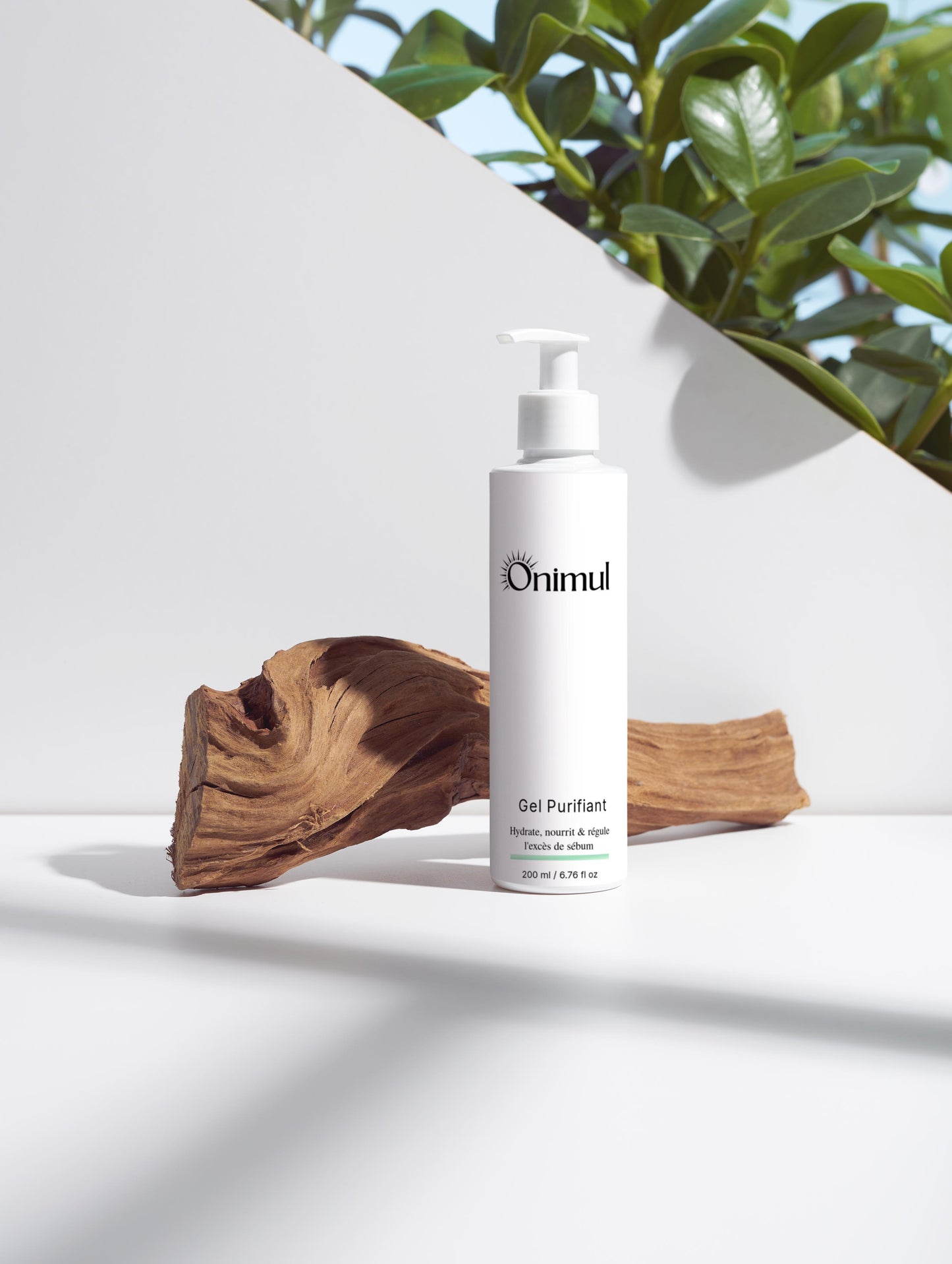 Gel purifiant